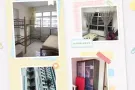 盛港新房有男床位出租，12月底左右才能入住。