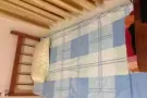 出租女搭房