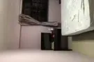 金文泰较新的好房