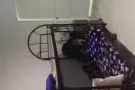 淡滨尼22街 招女搭房 （主人房）