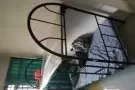 巴西立男床位