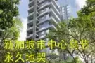 【3 Orchard by the Park】乌节 永久地契豪华公寓 现有折扣！