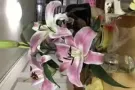 大巴窑一巷布莱德地铁站出口走路两分钟有小房间出租