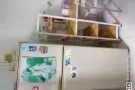 房间出租 blk 254 amk ave 4