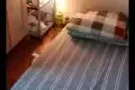 巴西立大牌506 干净 环境舒适的三人间 男床位出租