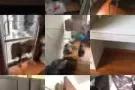 湖畔公寓搬家甩卖 上下铁床1套 双人床垫1个 隔间木门2个 书桌3个 衣柜2个