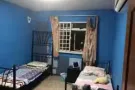 榜鹅 招租女搭房