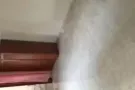 727男女搭房出租！人少安静.可大煮