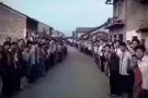 老文理大牌210