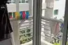 马里是他游泳池?公寓主人房短租90天$900