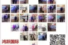 高薪！！！！专注专业新加坡找工作换工作十余年！！！咨加微信18846218091
