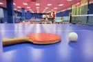 乒乓球陪练