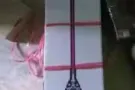 无线吸尘器