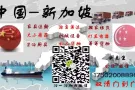 分享广州到新加坡海运小知识，这样操作更省钱~