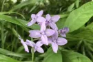 海军部白色公寓