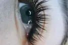 想要美睫，种睫毛的美女，可以add 微信：x1988629