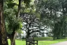 smu.kaplan.nafa各式房间长短期出租-91165298