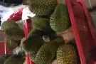 求租可以报地址的单间一间，文庆，波东巴西，实龙岗等地铁站附近，价格700左右组屋