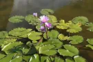 有超大隔间出租