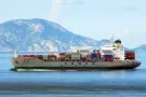 在中国买【家具 建材 服装】海运到新加坡 双清关