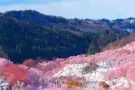 我找房子，找，找男搭房床位，可以报制造业合法地址