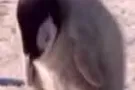 求租花拉公园附近单间
