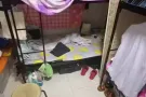 床位男搭房