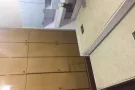 芽龙29项公寓主人房出租