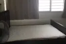 淡滨尼12街大牌270有夫妻房出租