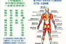 提供上门调理，科学科技去病痛/1分钟：$1/1部位