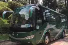 淡宾尼大牌741招男搭房