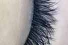 嫁接睫毛