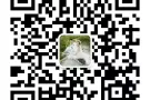 三八旺510A 普通房出租，12月20号可入住，可煮