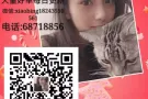 月嫂高薪详情加xiaobing18243550561