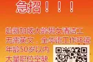 疫情不停工   继续招人 欢迎微信咨询：wx431033969