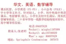 AEIS 雅思考试小学英语语法作文初中英语阅读语法写作来坡读书中国孩子补习英语成