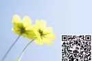 专业办理劳务 海量单子  费用低出境快  微信L13153571587