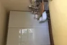 榜鹅地铁站附近主人房招租