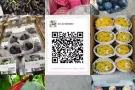 先驱，南大蔬果，肉团购群