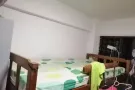 老文理有女床位出租