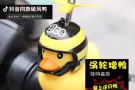 巴西立大牌221单间出租，可报本屋合法地址