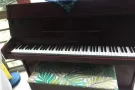 钢琴$300