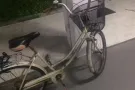 自行车$40，自取，hp：82468936