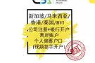 新加坡+马来西亚+香港+BVI注册公司+视频开户 (多种货币无限额/高效率)