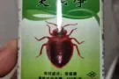 专杀臭虫特效药不杀绝不要钱