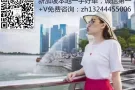 新加坡高新诚聘司机！司机福利来了！扫码免费咨询zh13244455006