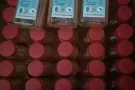 专业机器喷杀臭虫