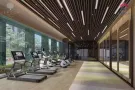 【绿墩雅苑Leedon Green】荷兰村永久地契景观大宅，名校学区