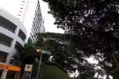 近地铁，无屋主，自由可煮1+1整套房屋出租