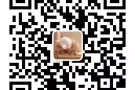 NY-A237司机sp/wp